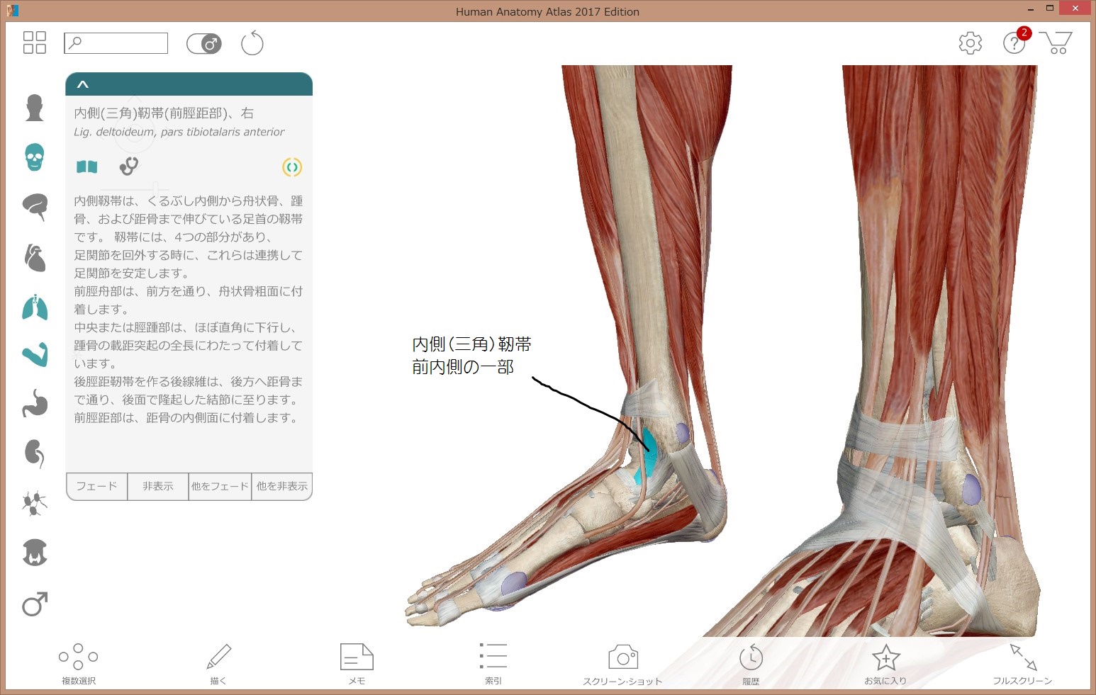 動かないところ 御薗治療院