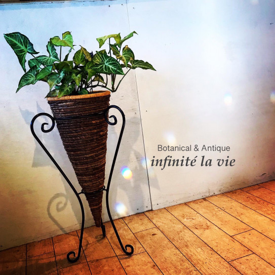 White Pink Butterfly Infinite La Vie