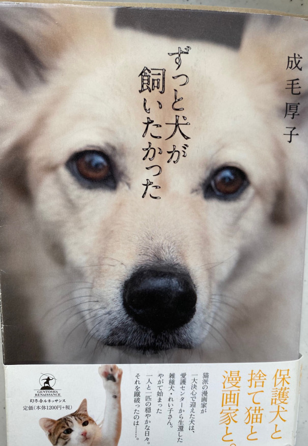 ずっと犬が飼いたかった 保護犬れい子さんと捨て猫キチとの暮らしぶりがとにかく面白く 明るくほっこり幸せな気持ちにさせてくれる一冊 Dear Furry Friends
