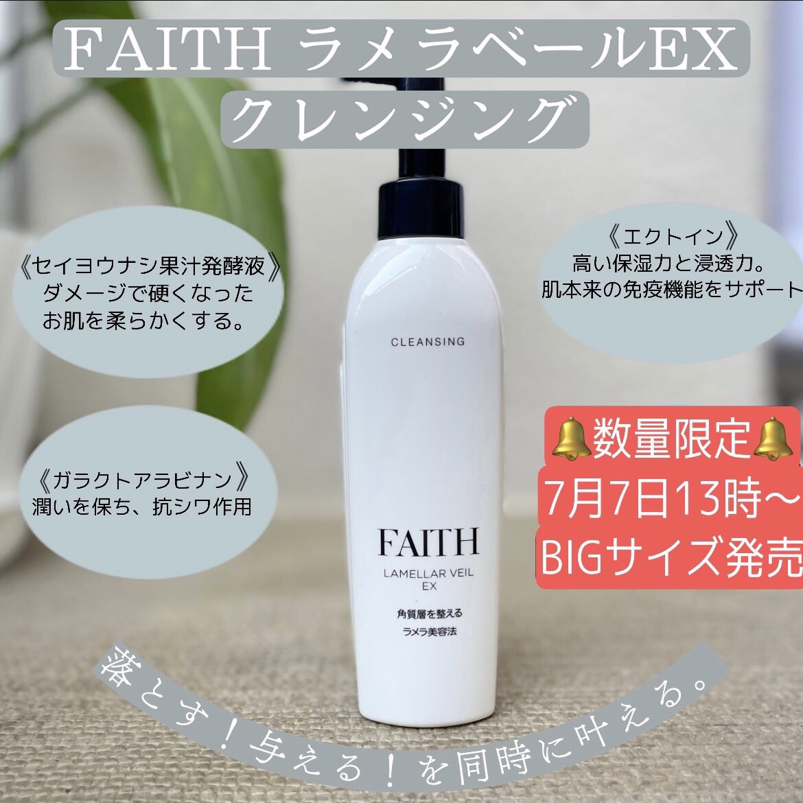 フェース ラメラベールEX クレンジング300ml ビッグボトル2本セット