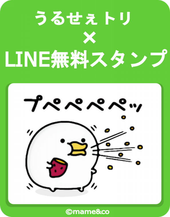 WORKS | mame&co（まめあんどこー）