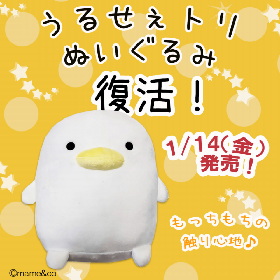 うるせぇトリぬいぐるみ』 の再販売が決定！ | mame&co（まめあんどこー）