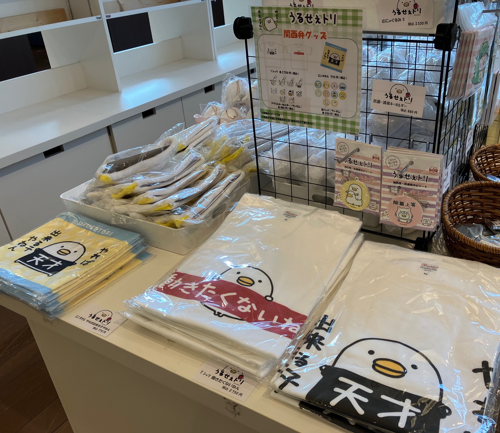 うるせぇトリ POP UP STORE」 | mame&co（まめあんどこー）