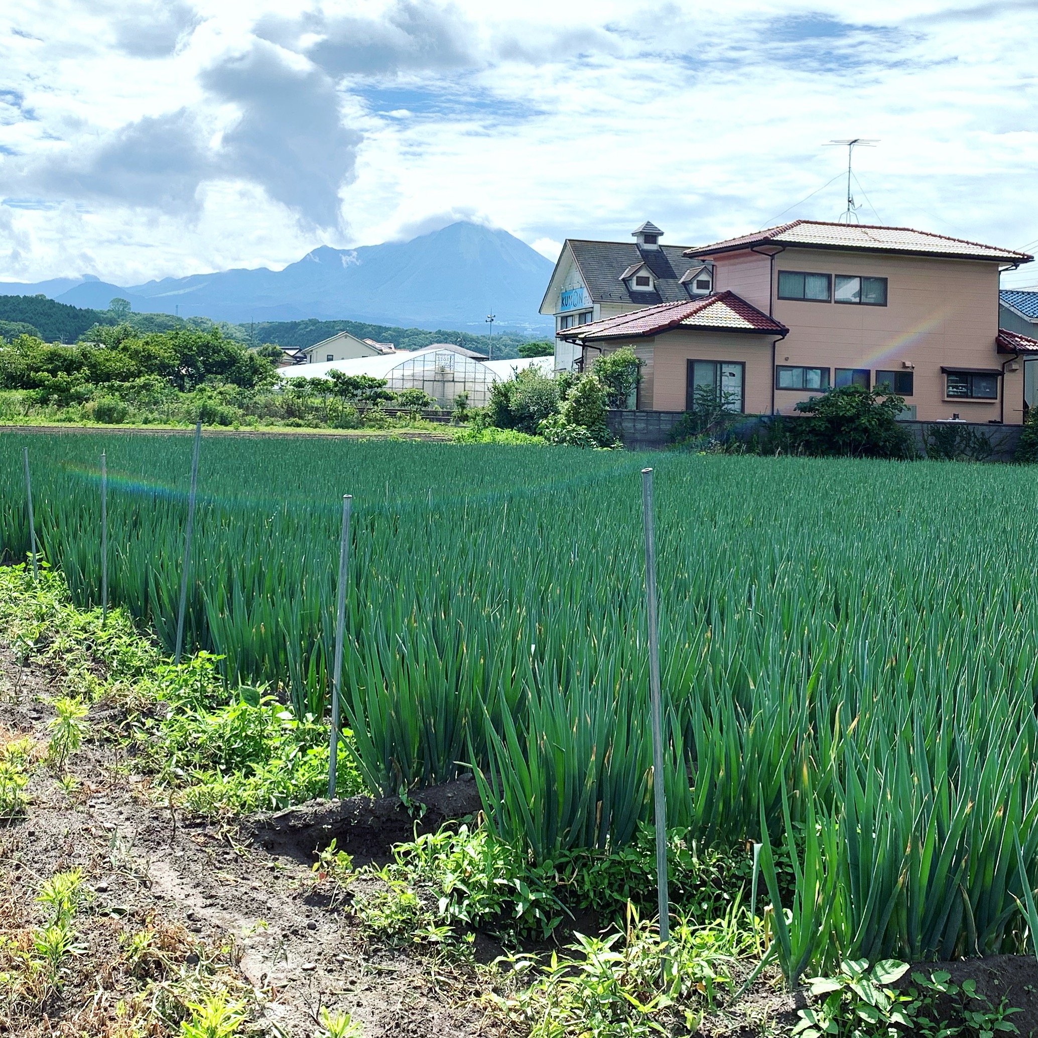 大山たかはし農園
