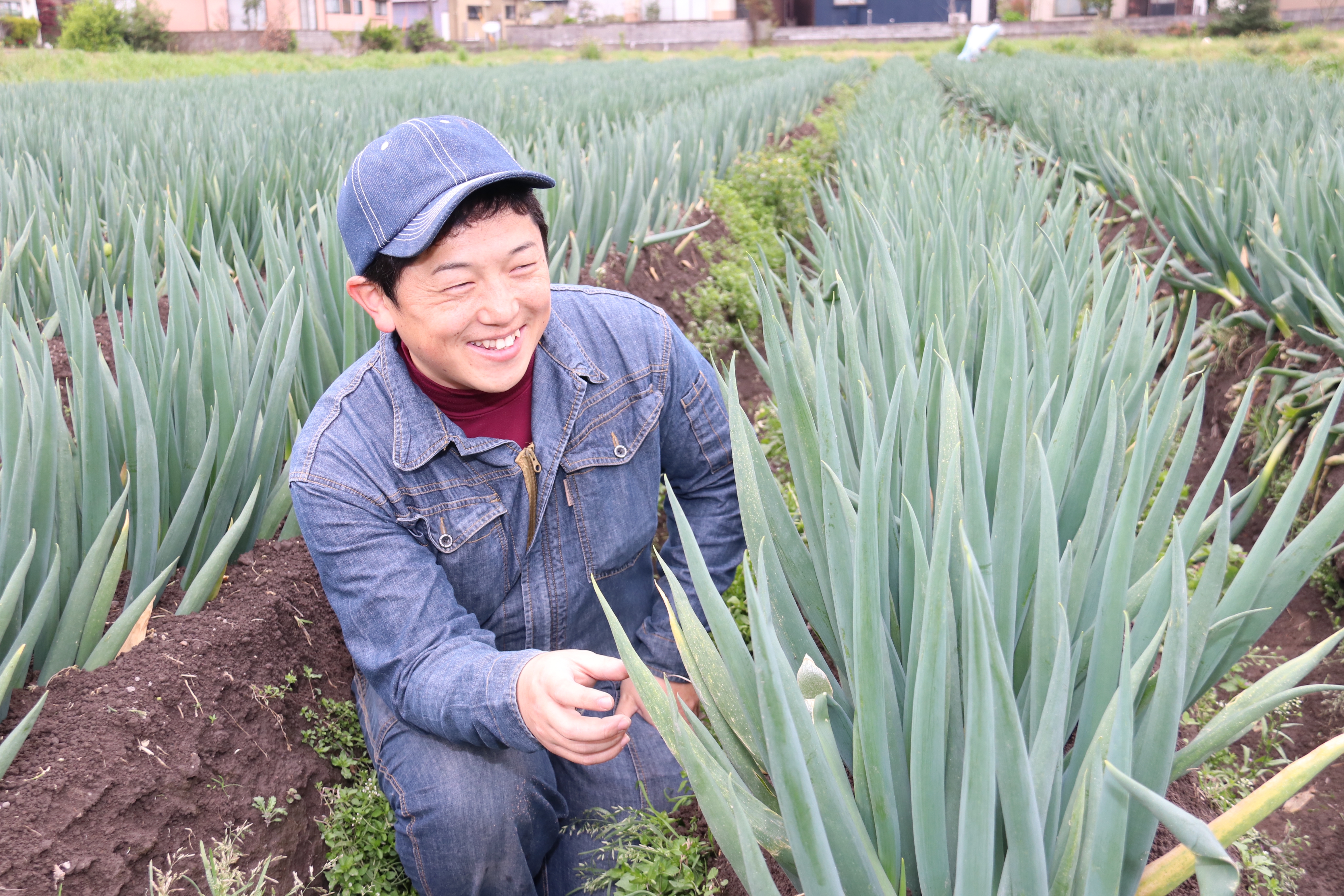 【中古】 庄内・高橋式イネの生育診断と多収栽培/農山漁村文化協会/高橋保一 庄内・高橋式イネの生育診断と多収栽培 / 高橋 保一 / 農山漁村