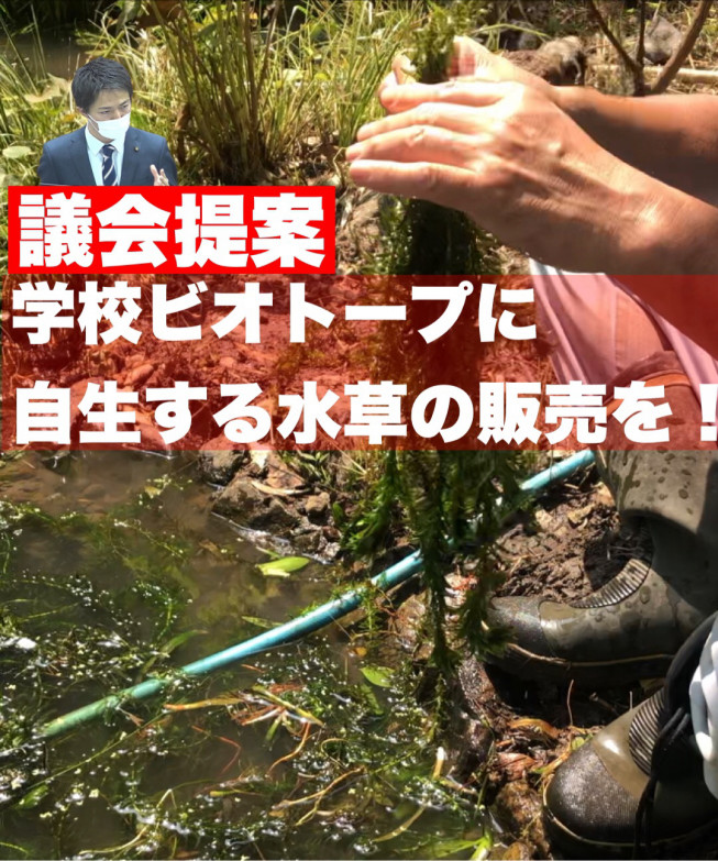 提案 ビオトープに自生する水草を販売して維持管理費を稼ごう 貴志信智 公式サイト 提案 ビオトープに自生する水草を販売して維持管理費を稼ごう 貴志信智 公式サイト