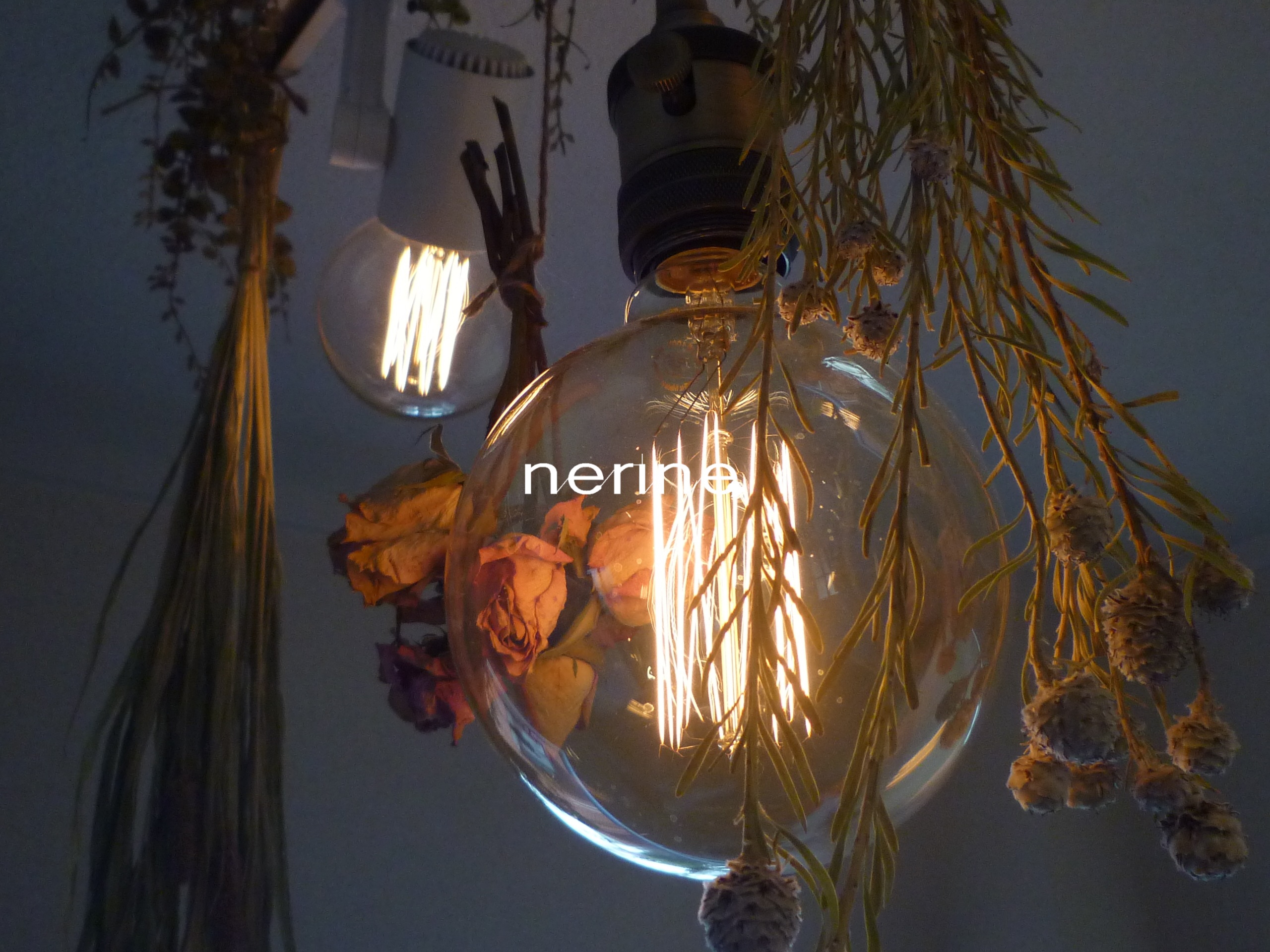 price | nerine