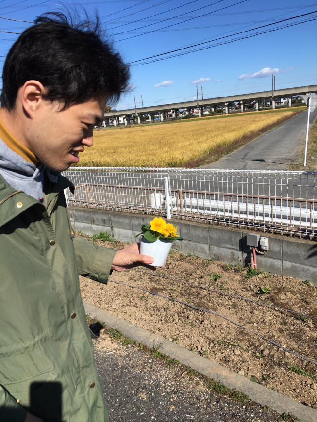 パンジーを植えました 生活介護事業所 楓 かえで