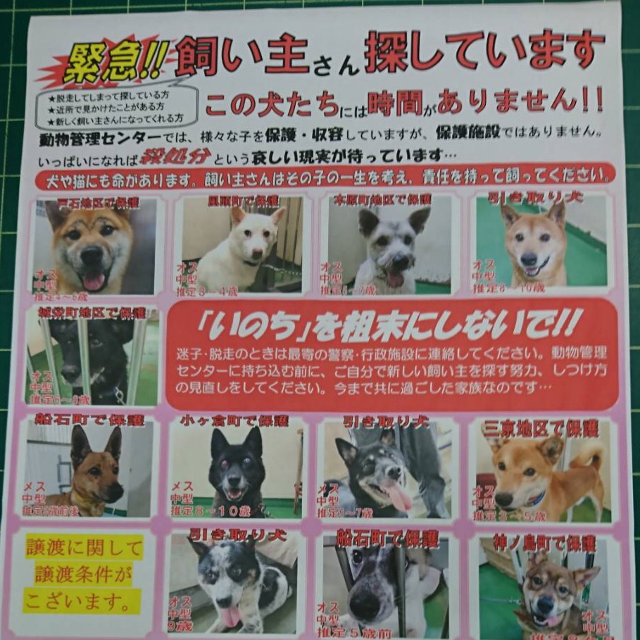 活動内容  長崎 Life of Animal