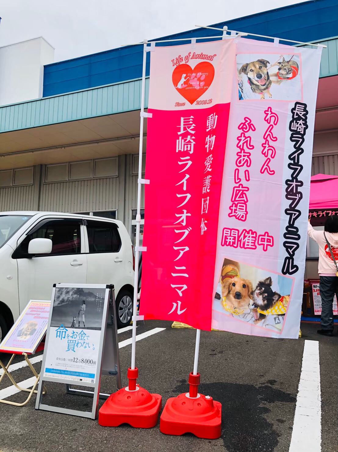 活動内容  長崎 Life of Animal
