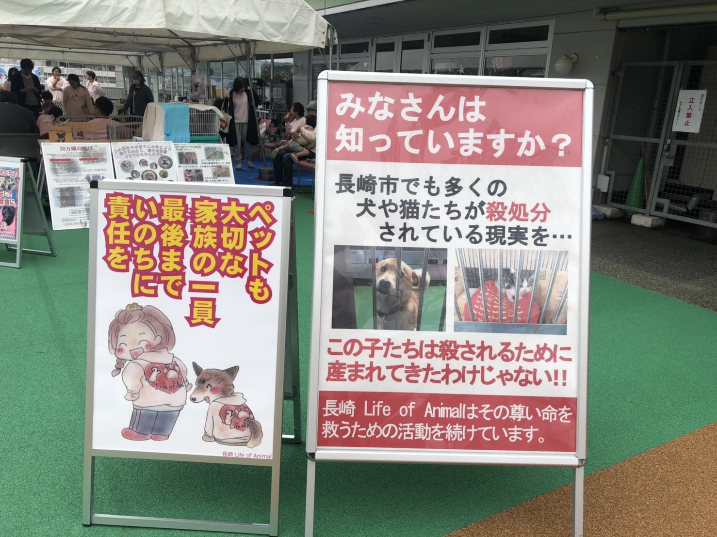 活動内容  長崎 Life of Animal