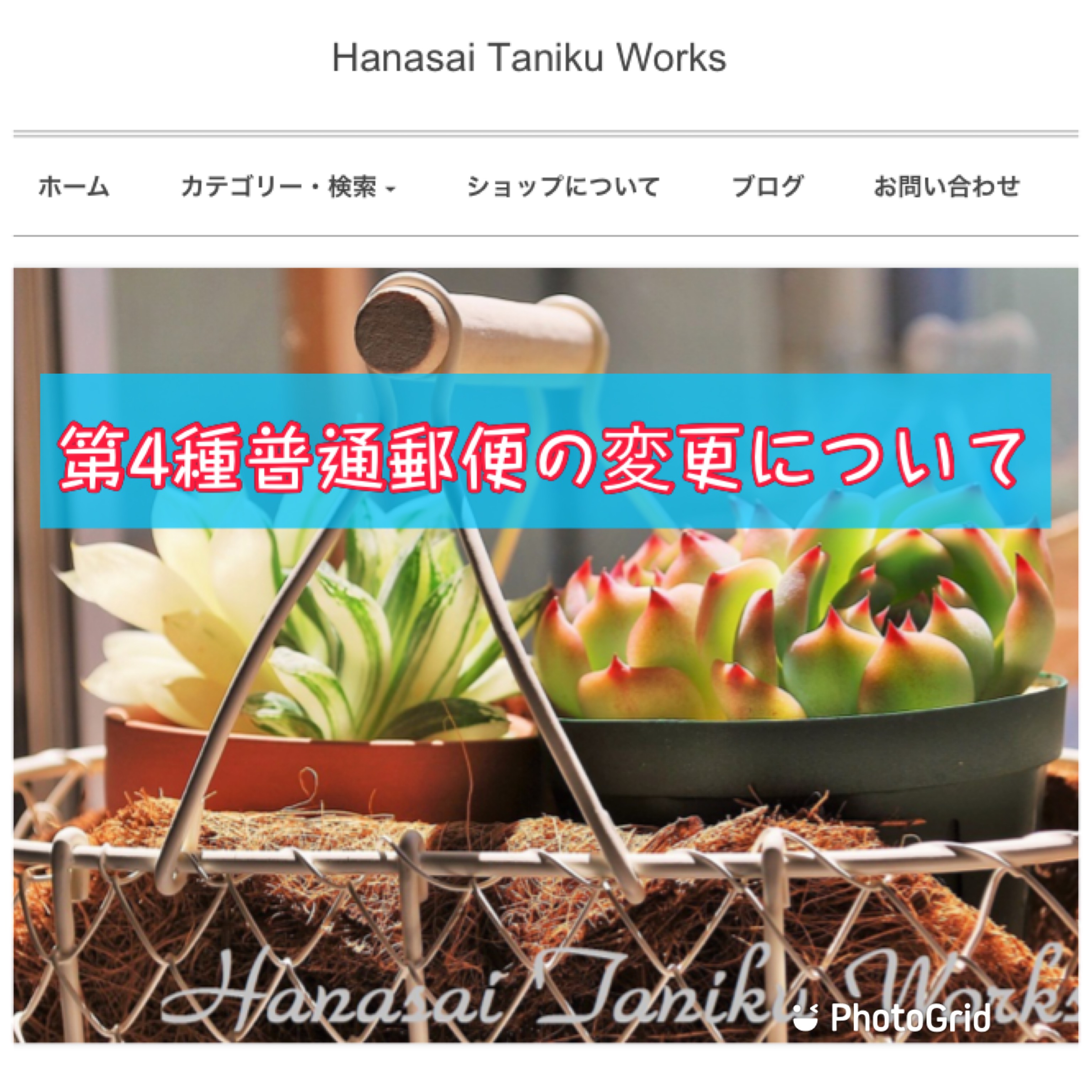 花彩~hanasai~ flower