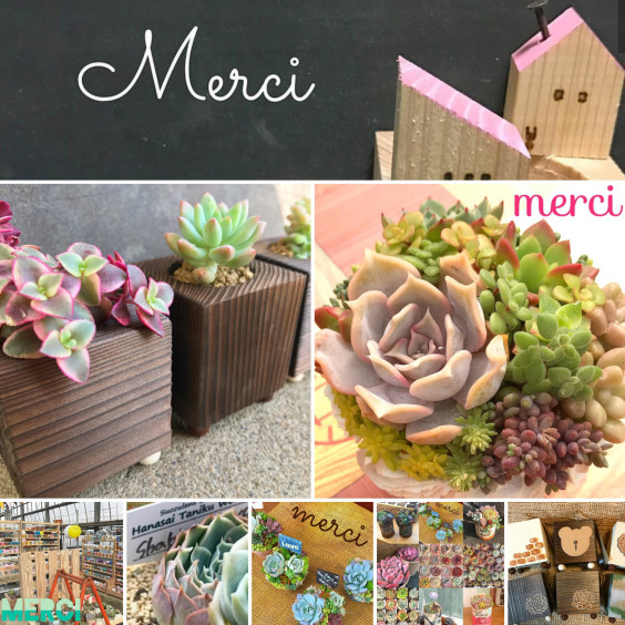 Hanasaiセレクト苗協力店様 花彩 Hanasai Flower