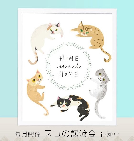 ネコさん紹介のページ追加しました ちーむにゃいんず Amebaページ 猫の譲渡会in瀬戸 Npo非営利団体