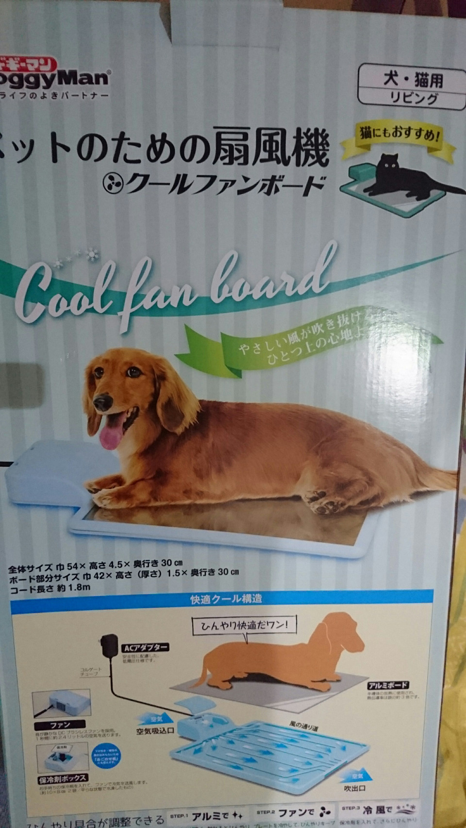 またはじまったわよ 柴犬 千代子 チョコ の沖縄生活