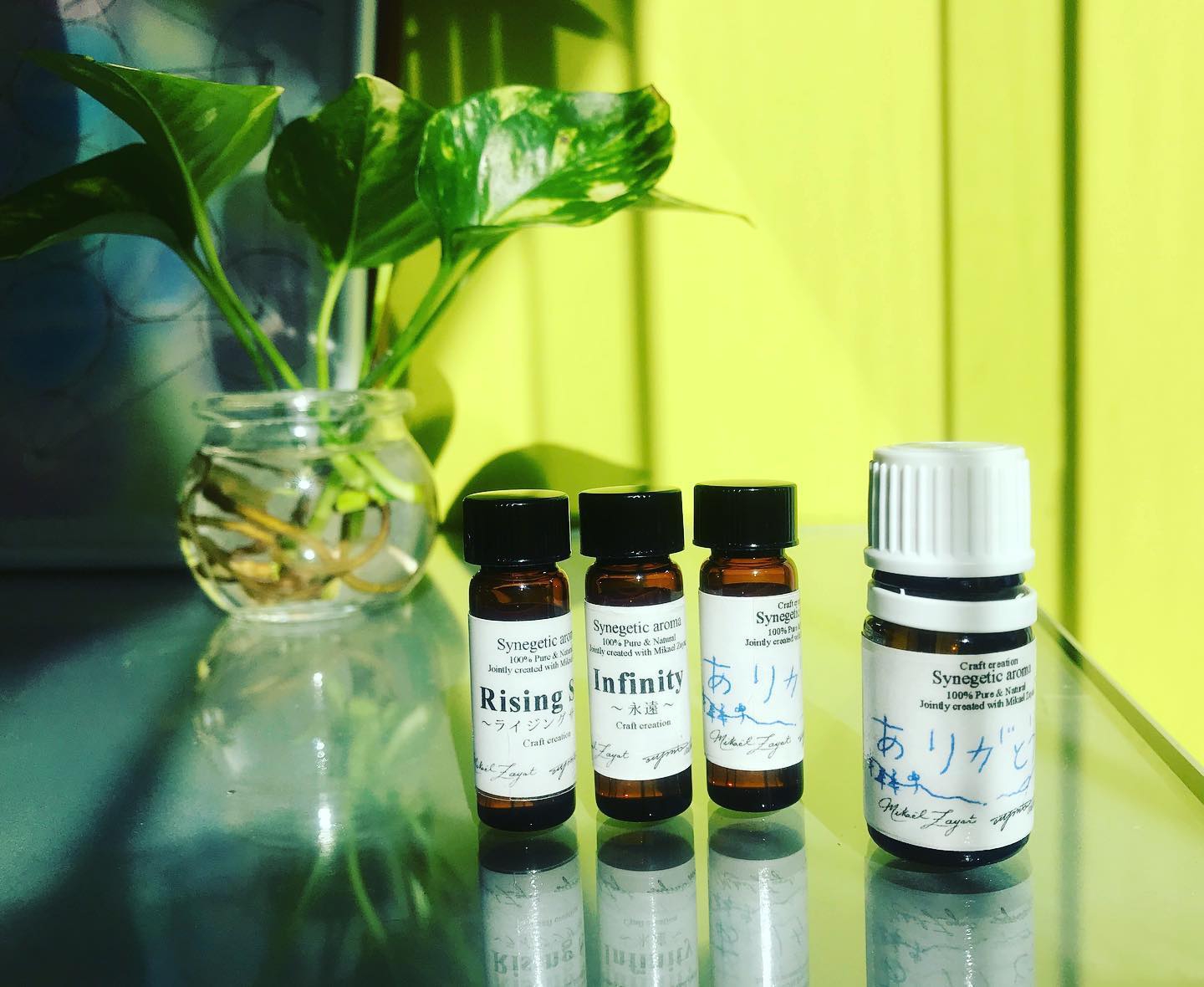 Sunmoon Flower Essence Cafe Blog