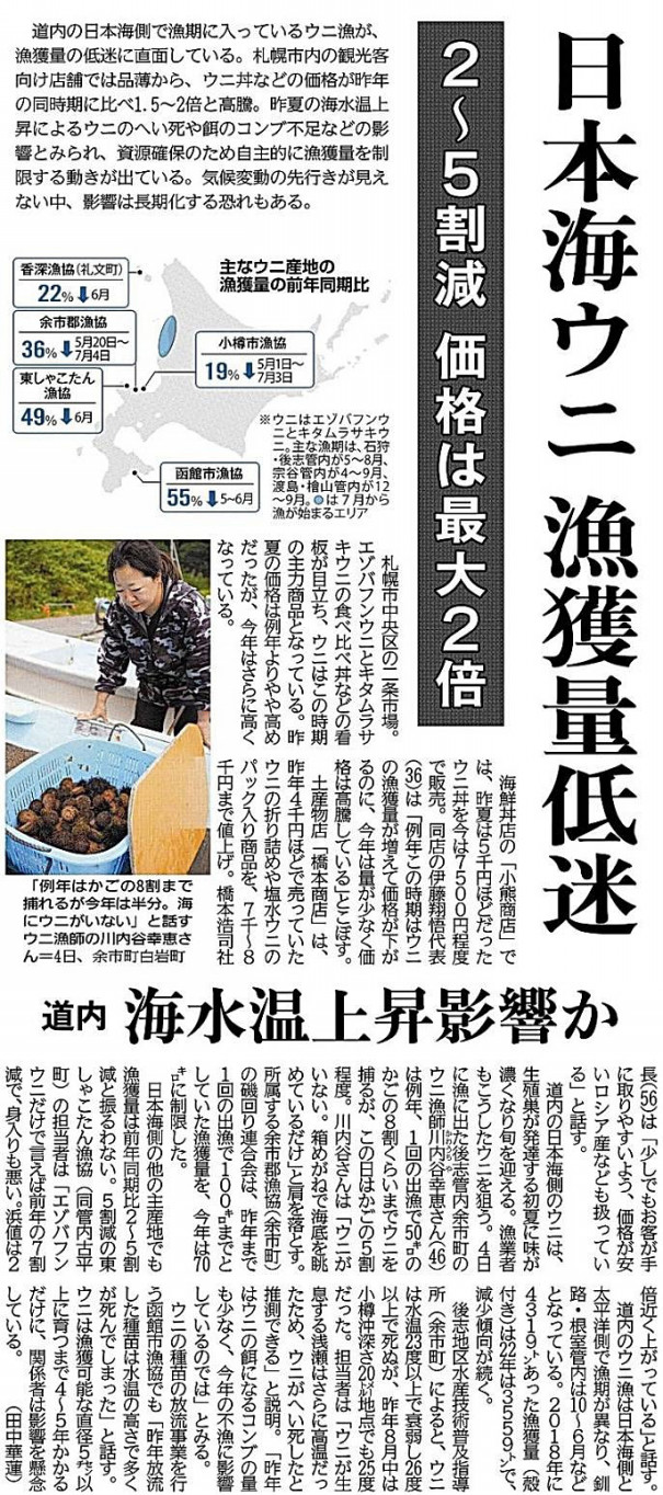 ウニ不漁で高騰 北海道内日本海側2～5割減、浜値2倍も 高水温や餌不足 | しのろ駅前医院