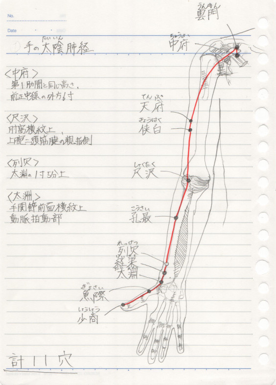 ツボを勉強してみた 東洋医学勉強記録