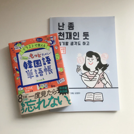 お家ごもりで韓国語勉強と韓国文学のオクリモノ Little Korea Book