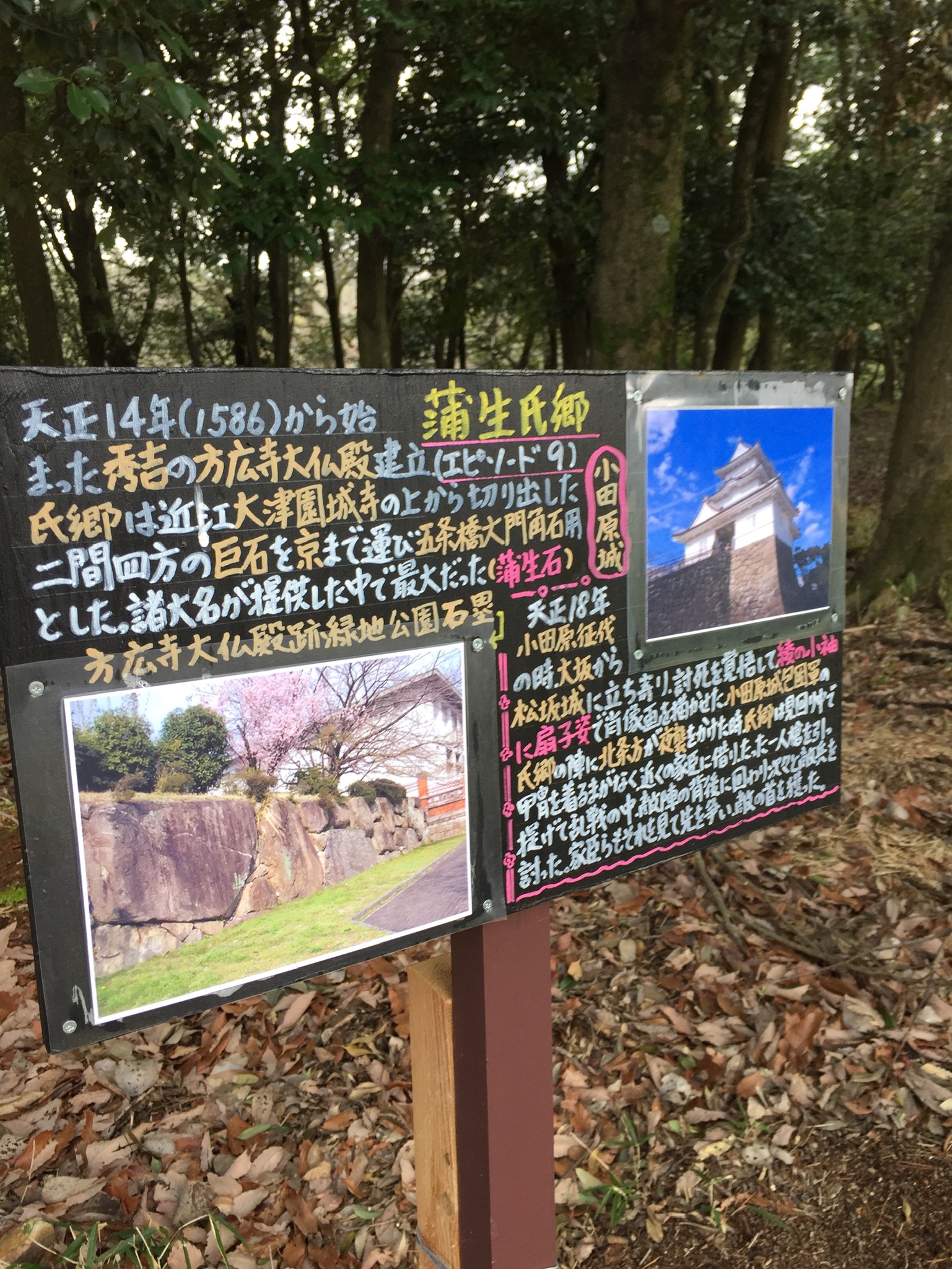 日野の城 | 蒲生氏郷公顕彰会 日野