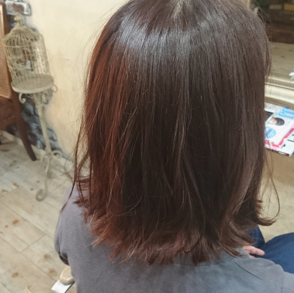 レッド系 インナーカラー Parade