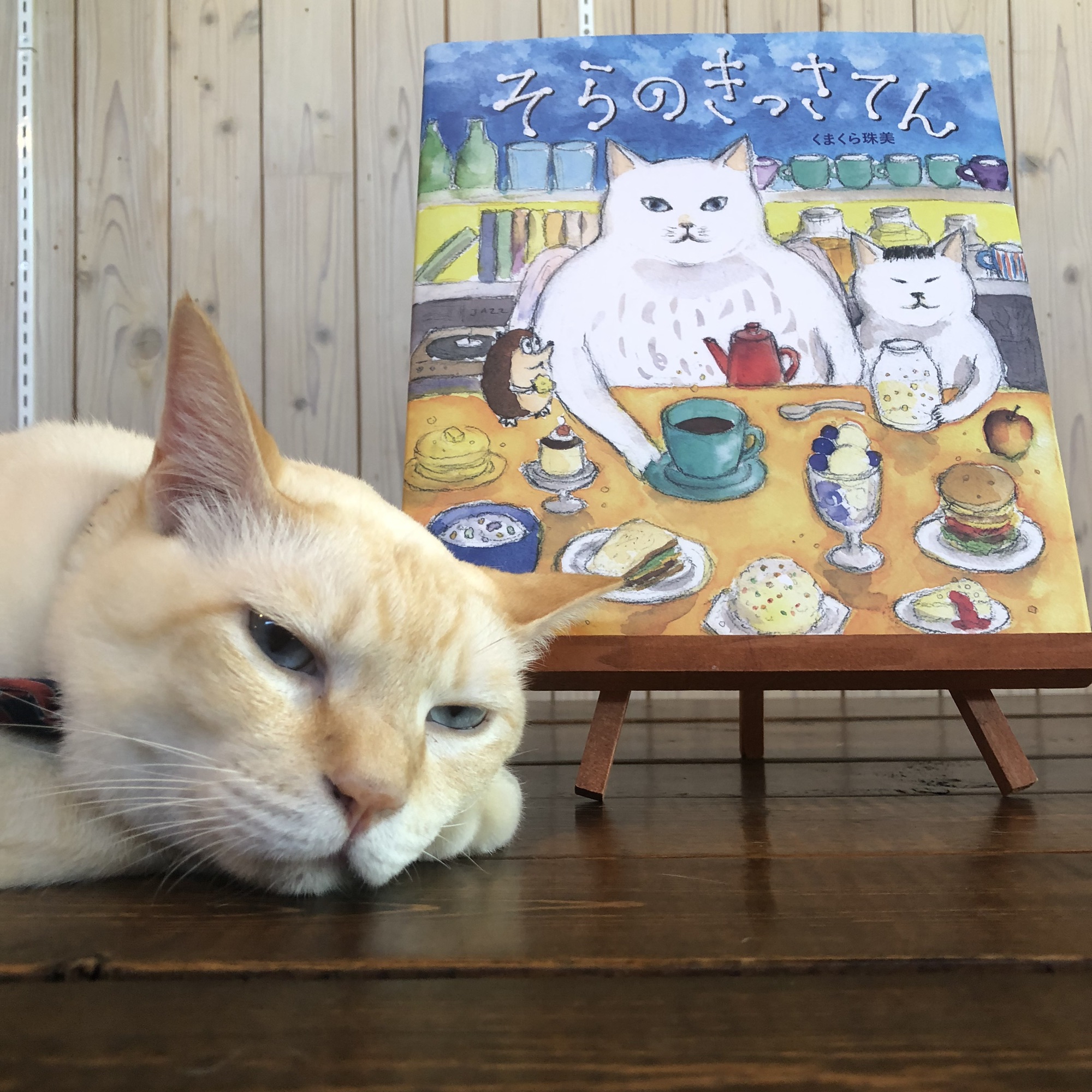 くまくら珠美さん 原画 良し うさぎのお茶会によばれた猫