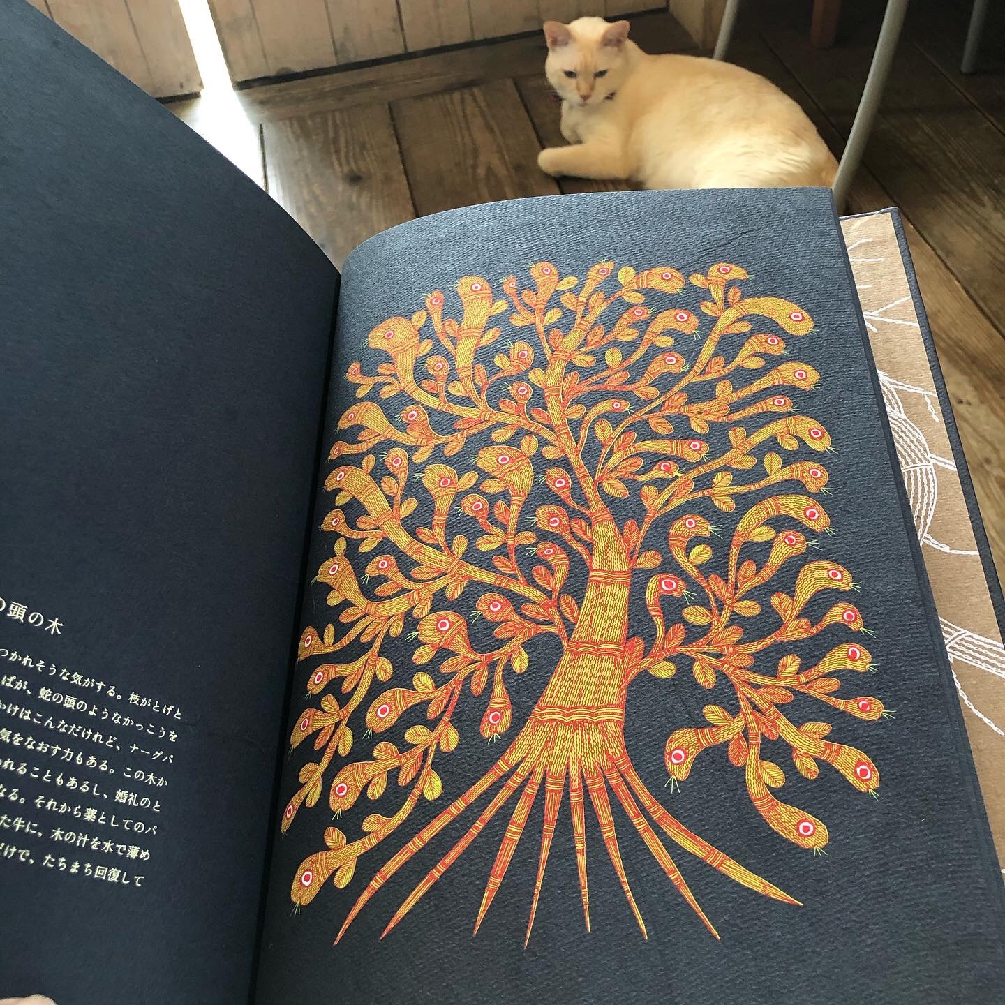 絵本「夜の木」が届きました | カフェと間 koya