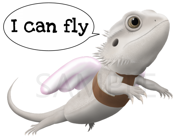 空飛ぶフトアゴゼロ 爬虫類イラスト Funny Reptile Art