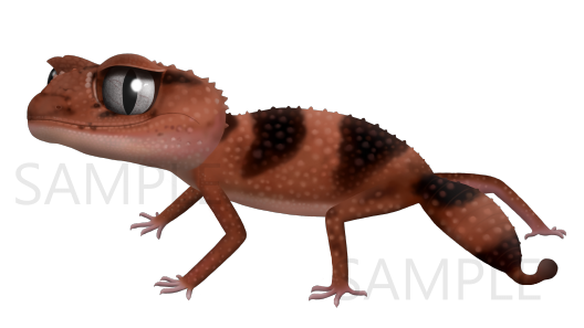 爬虫類イラスト Funny Reptile Art 爬虫類イラスト Funny Reptile Art