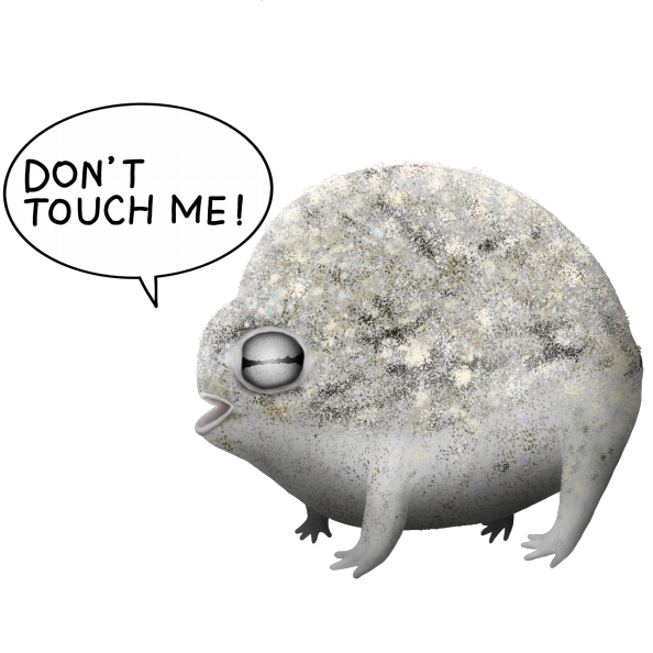 怒るナマカフクラガエル 爬虫類イラスト Funny Reptile Art 怒るナマカフクラガエル 爬虫類イラスト Funny Reptile Art