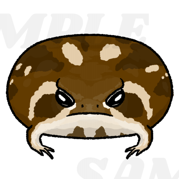 きみ お饅頭 と聞かれたアメフクラガエル 爬虫類イラスト Funny Reptile Art