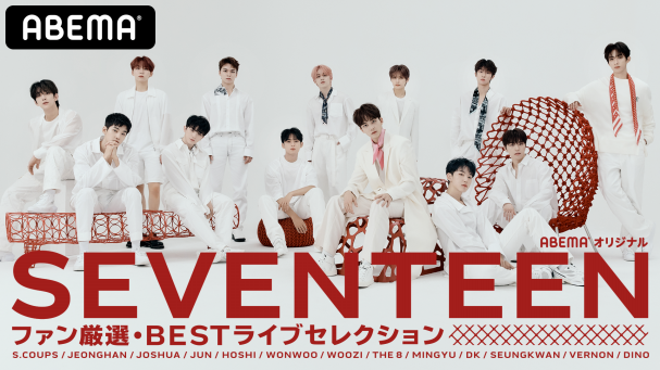 SEVENTEEN DVD LIVE ライブ まとめ売り 引退品 セブチ SEVENTEEN