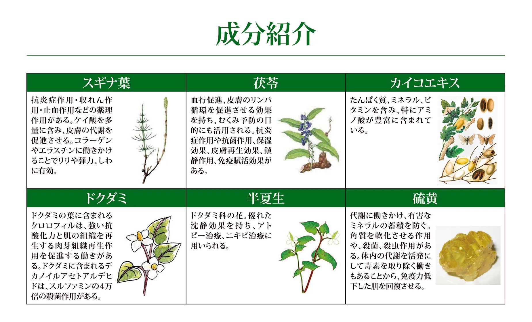 漢方hariピーリング ゼオスキンより美肌再生