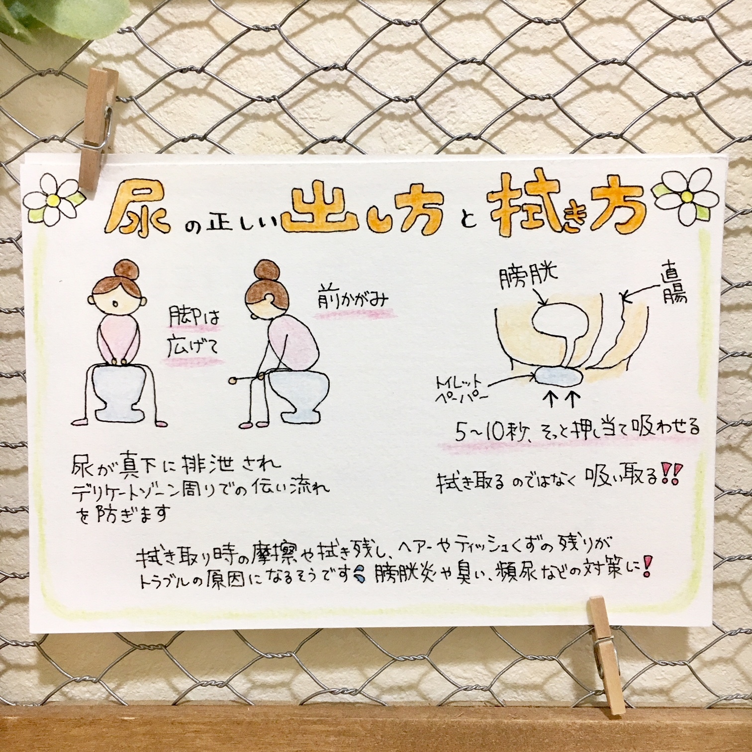 トイレット ペーパー 拭き 方
