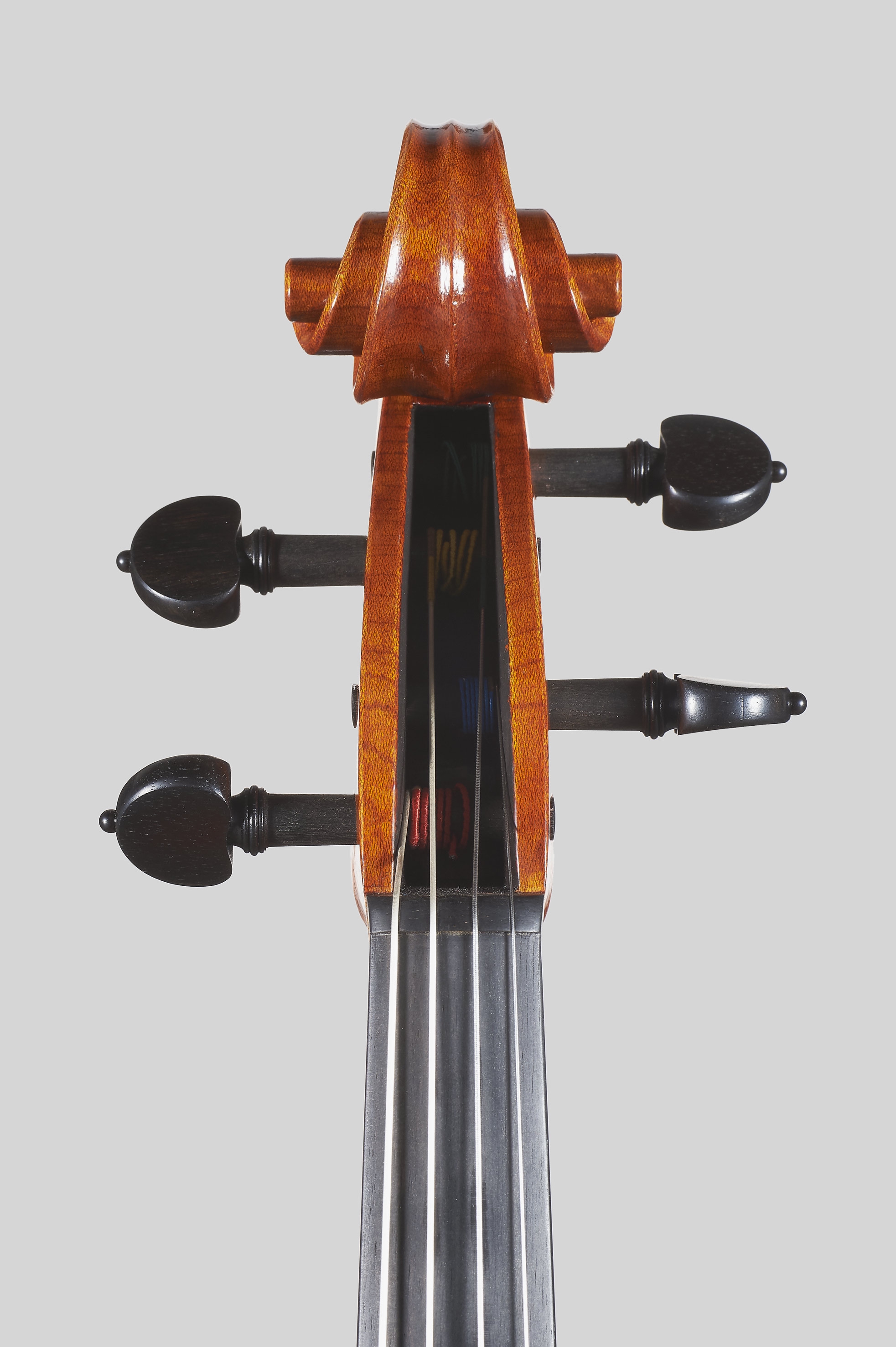 ELENA BARDELLA | Contemporary Violins