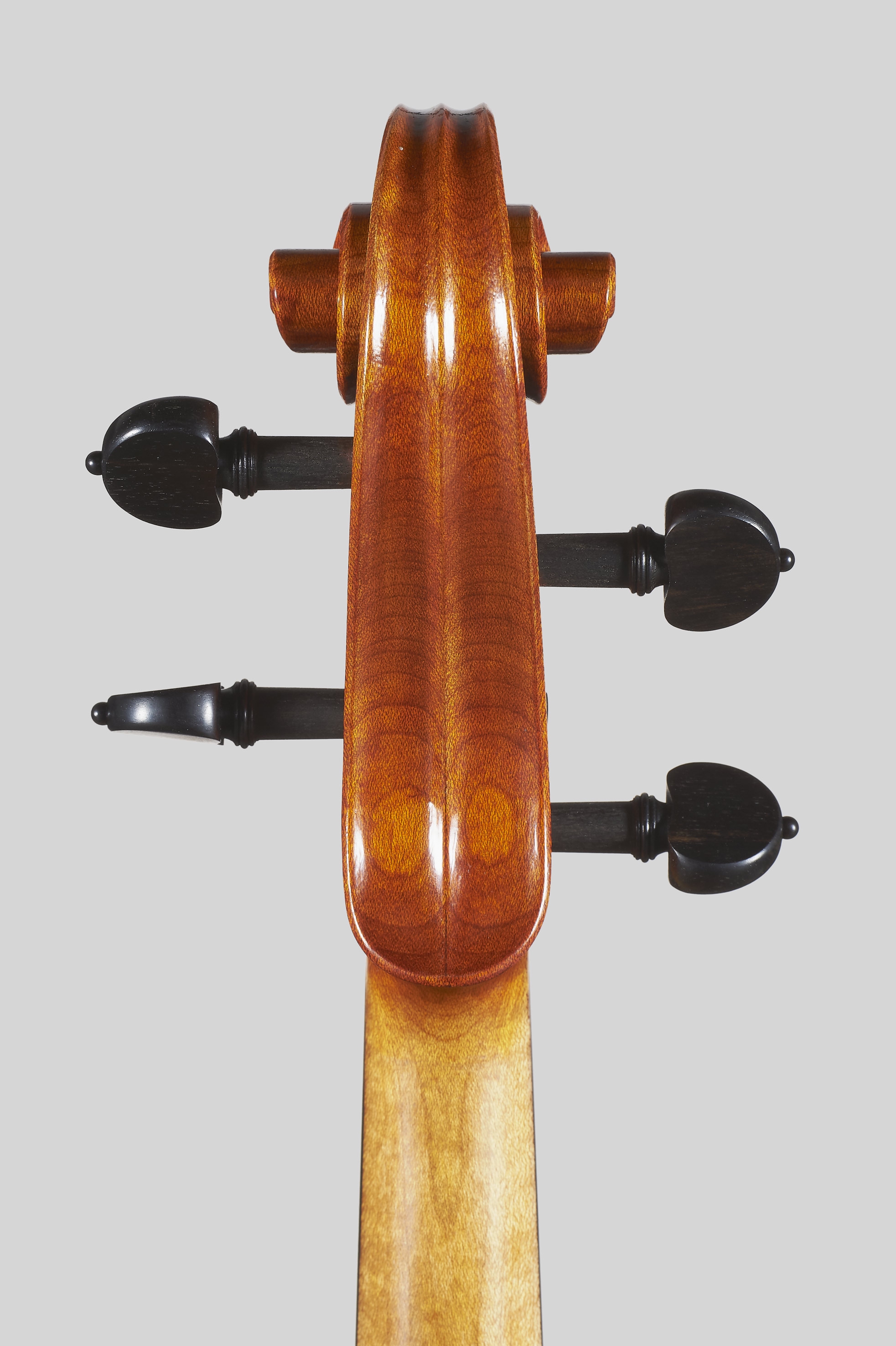 ELENA BARDELLA | Contemporary Violins
