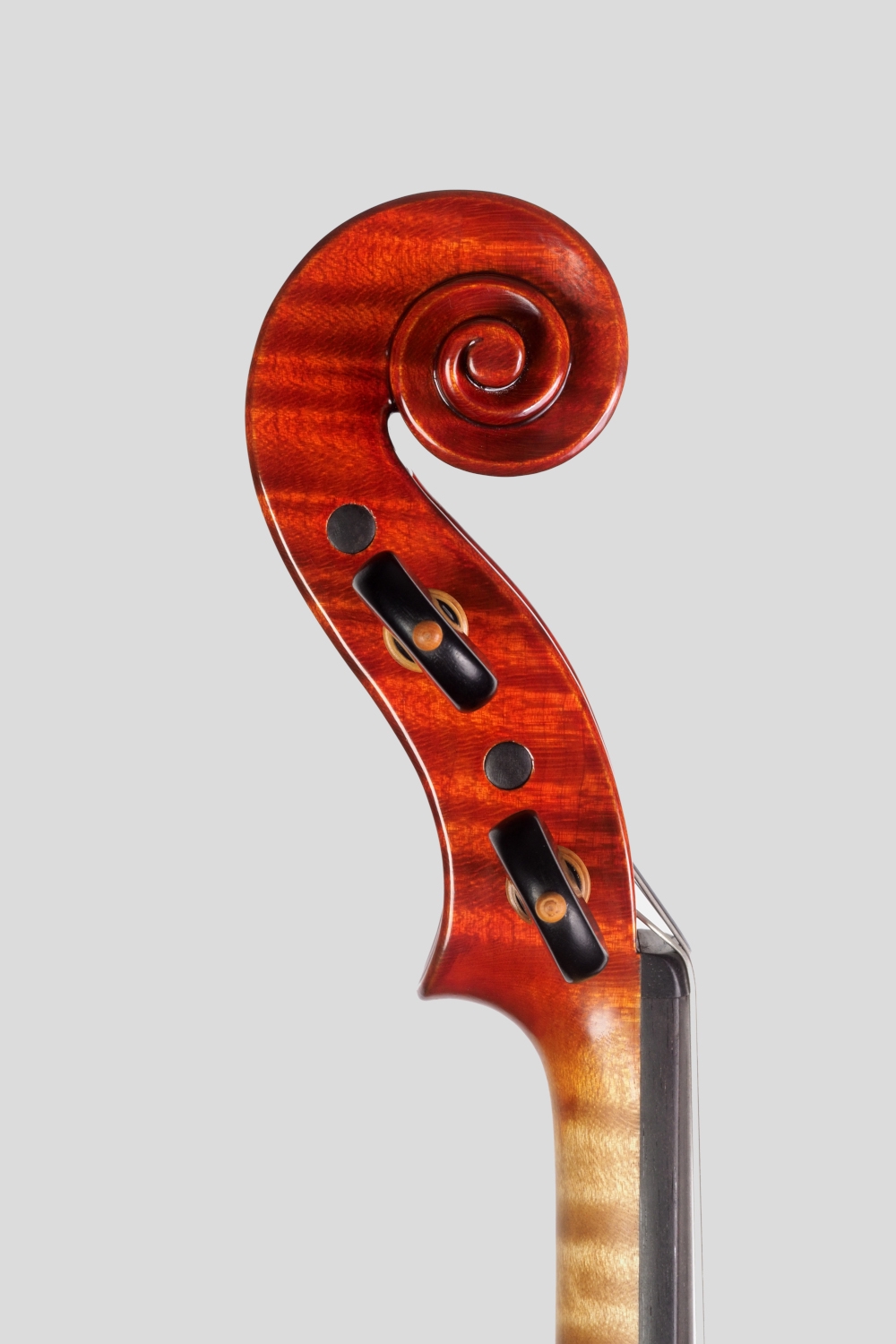 ELENA BARDELLA | Contemporary Violins