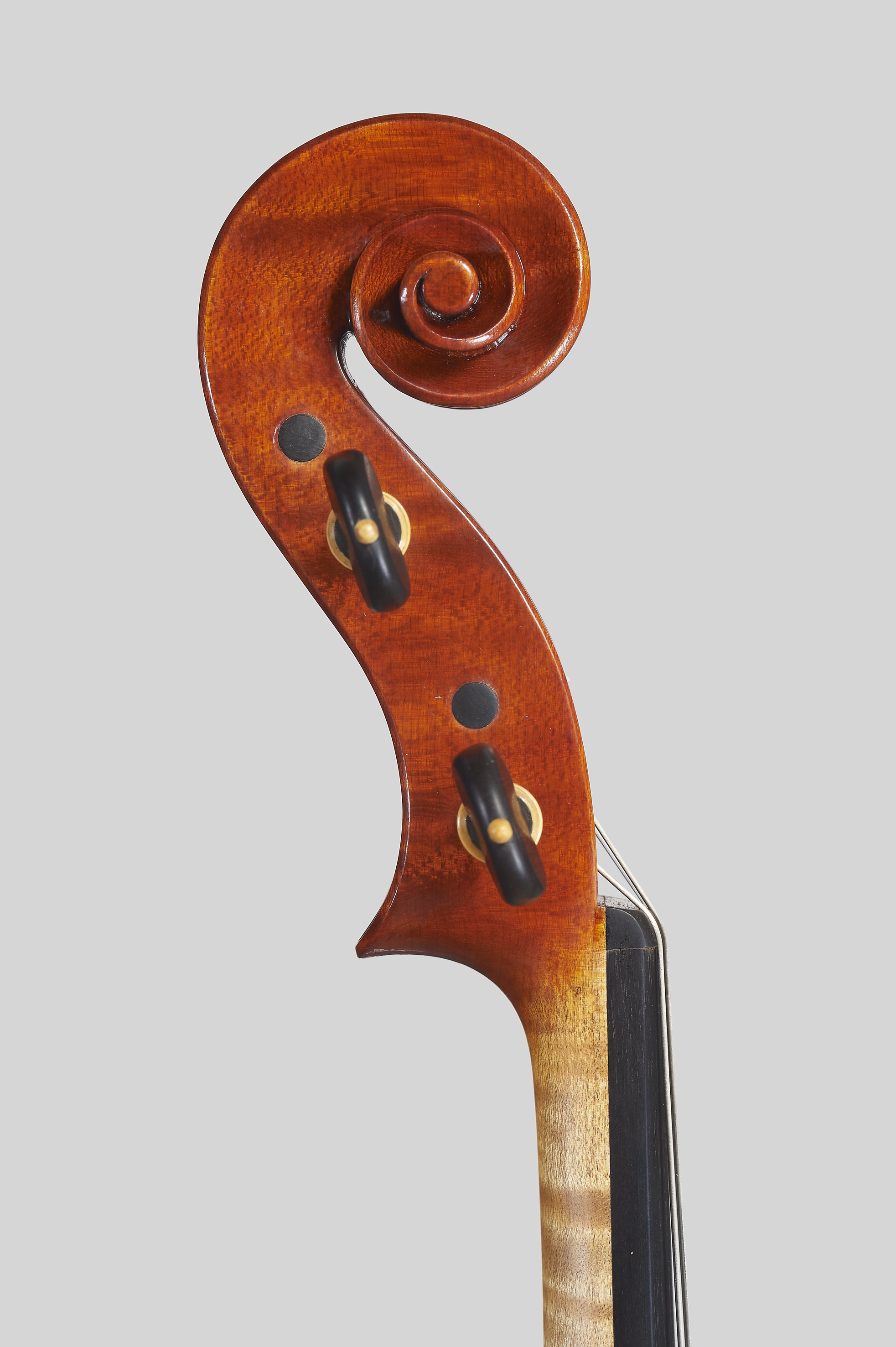 ELENA BARDELLA | Contemporary Violins