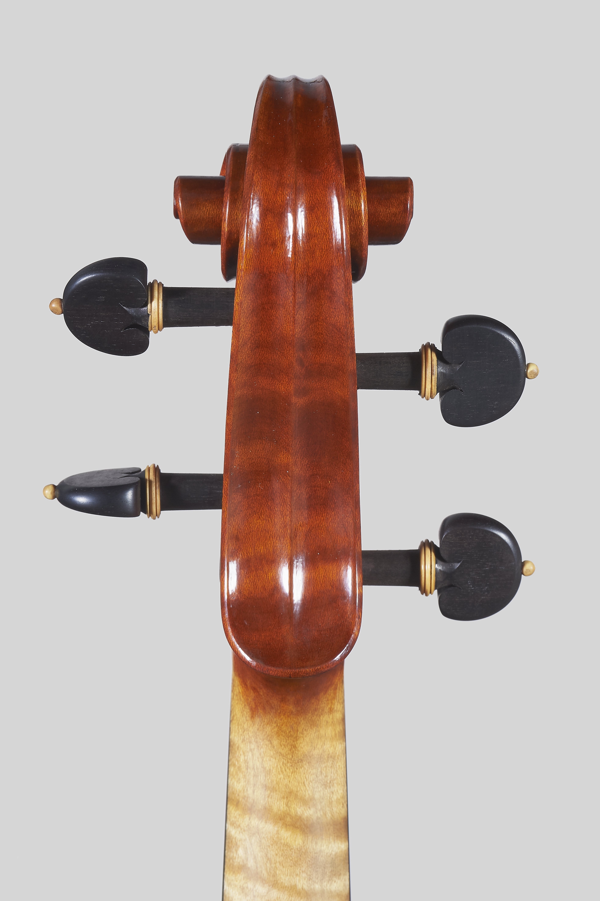 ELENA BARDELLA | Contemporary Violins