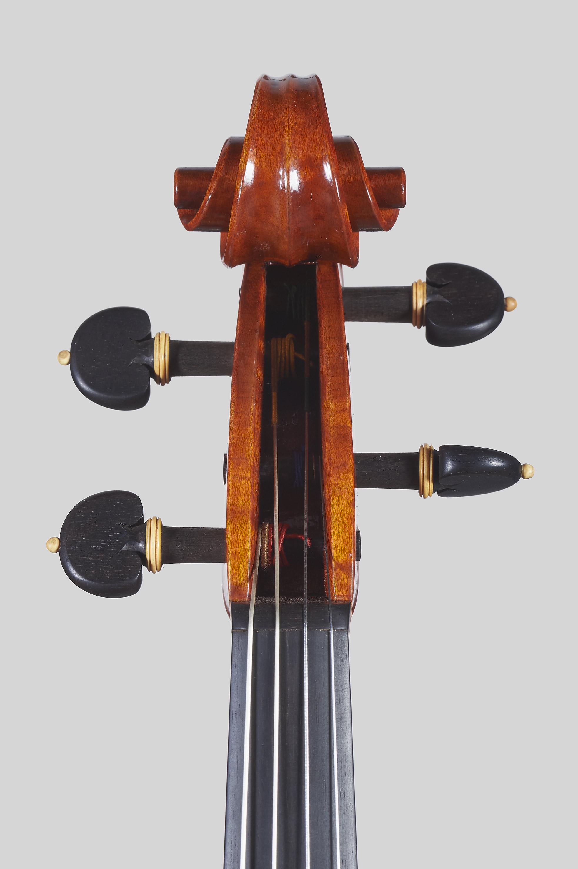 ELENA BARDELLA | Contemporary Violins