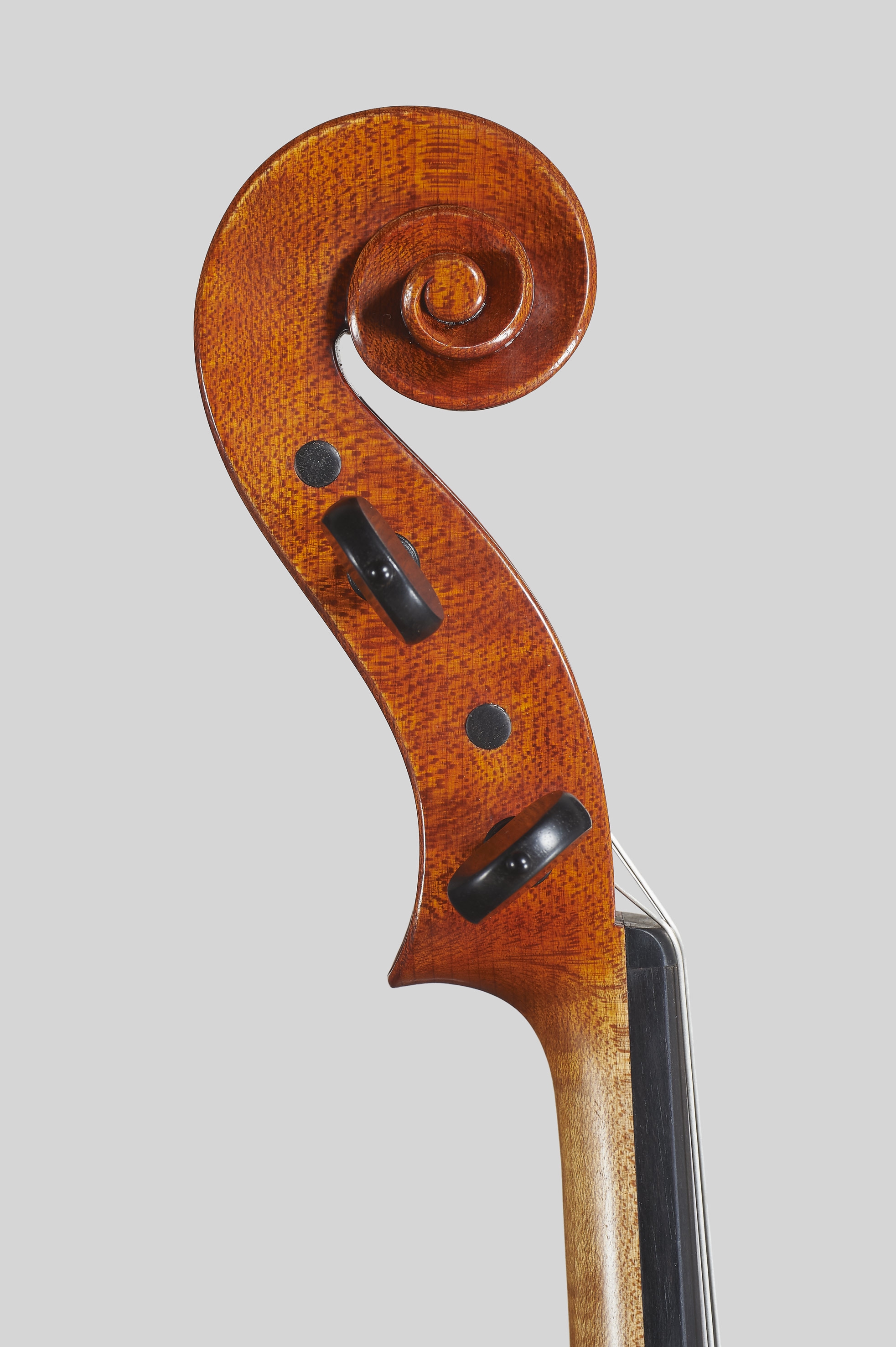 ELENA BARDELLA | Contemporary Violins