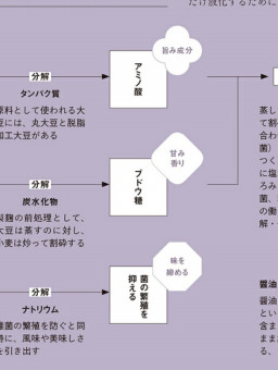 見出し 雑誌のデザインを褒めちぎるブログ