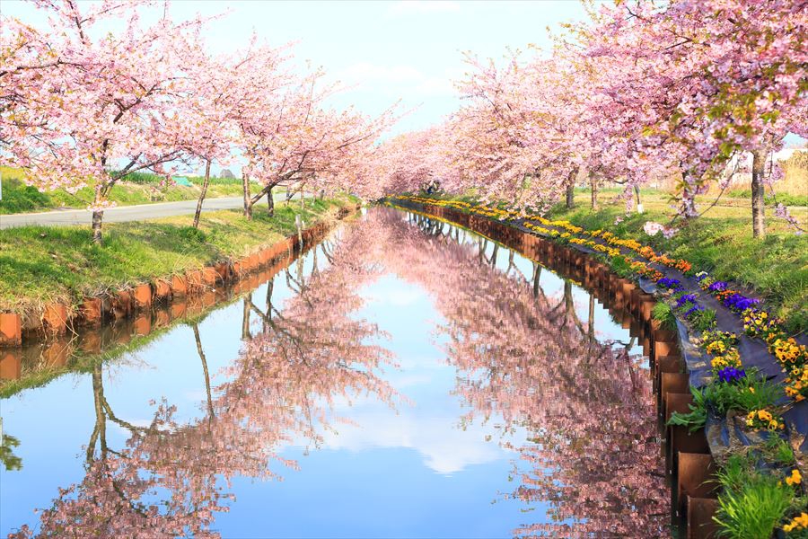 91845ead787cd4fb19ca47bf887b1e