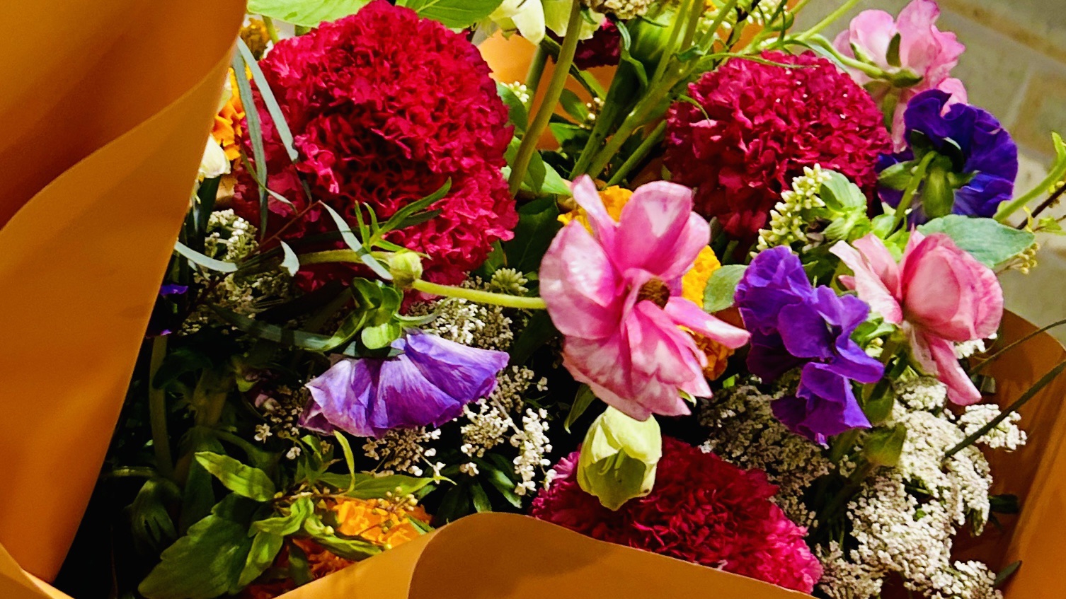 ワーニャ伯父さん 書くこと。生きること。Hiromi's Blog