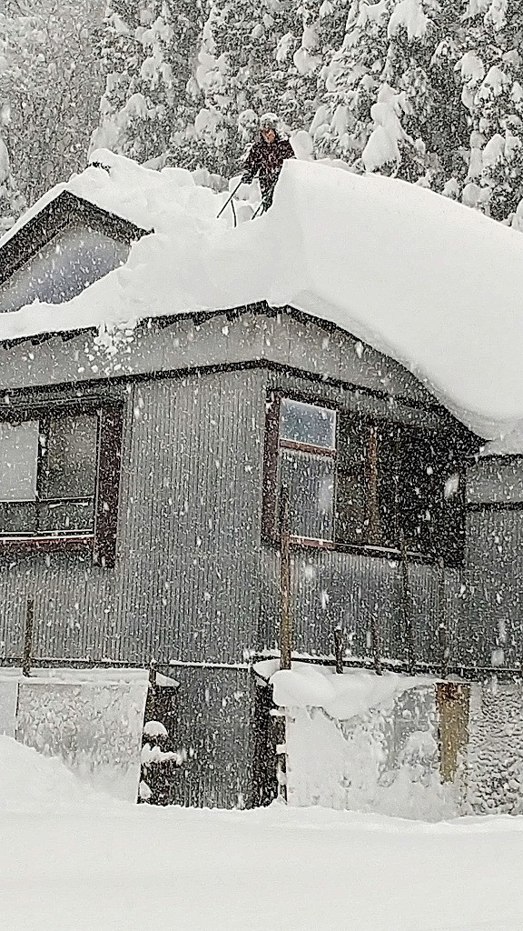 清貧農民 杉山あきら 国会への道 ドカ雪はつらいよ 政治を変えたい人 みんな集まれ 杉山あきらホームページ