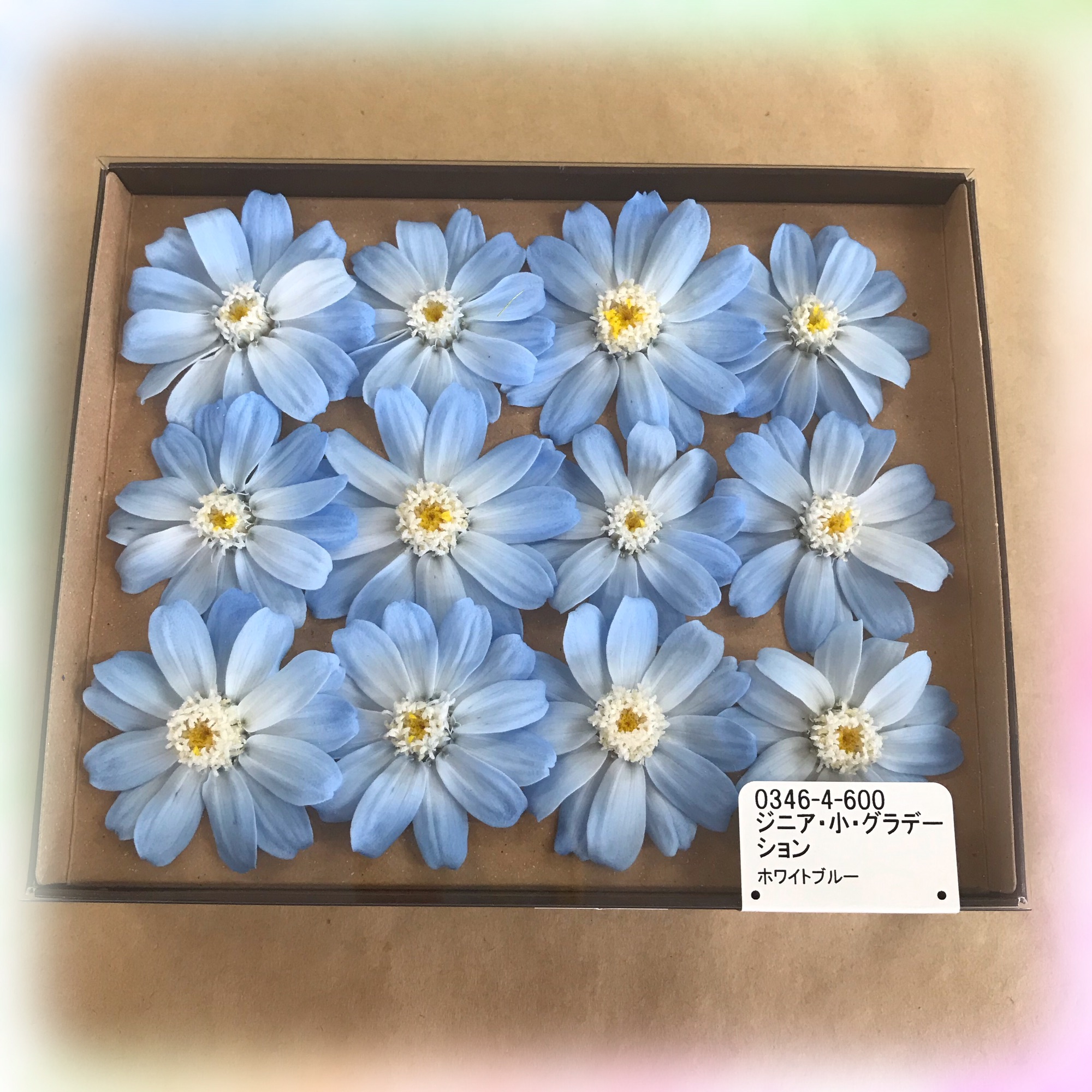 ꫛꫀꪝ✧‧˚爽やかレジン❤︎.*お花❤︎.* 因る
