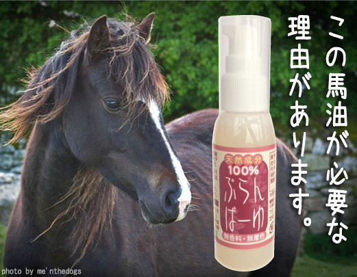 馬油の弱点 酸化 克服 くんかまさんの自然食品と雑貨のお店 馬油の弱点 酸化 克服 くんかまさんの自然食品と雑貨のお店