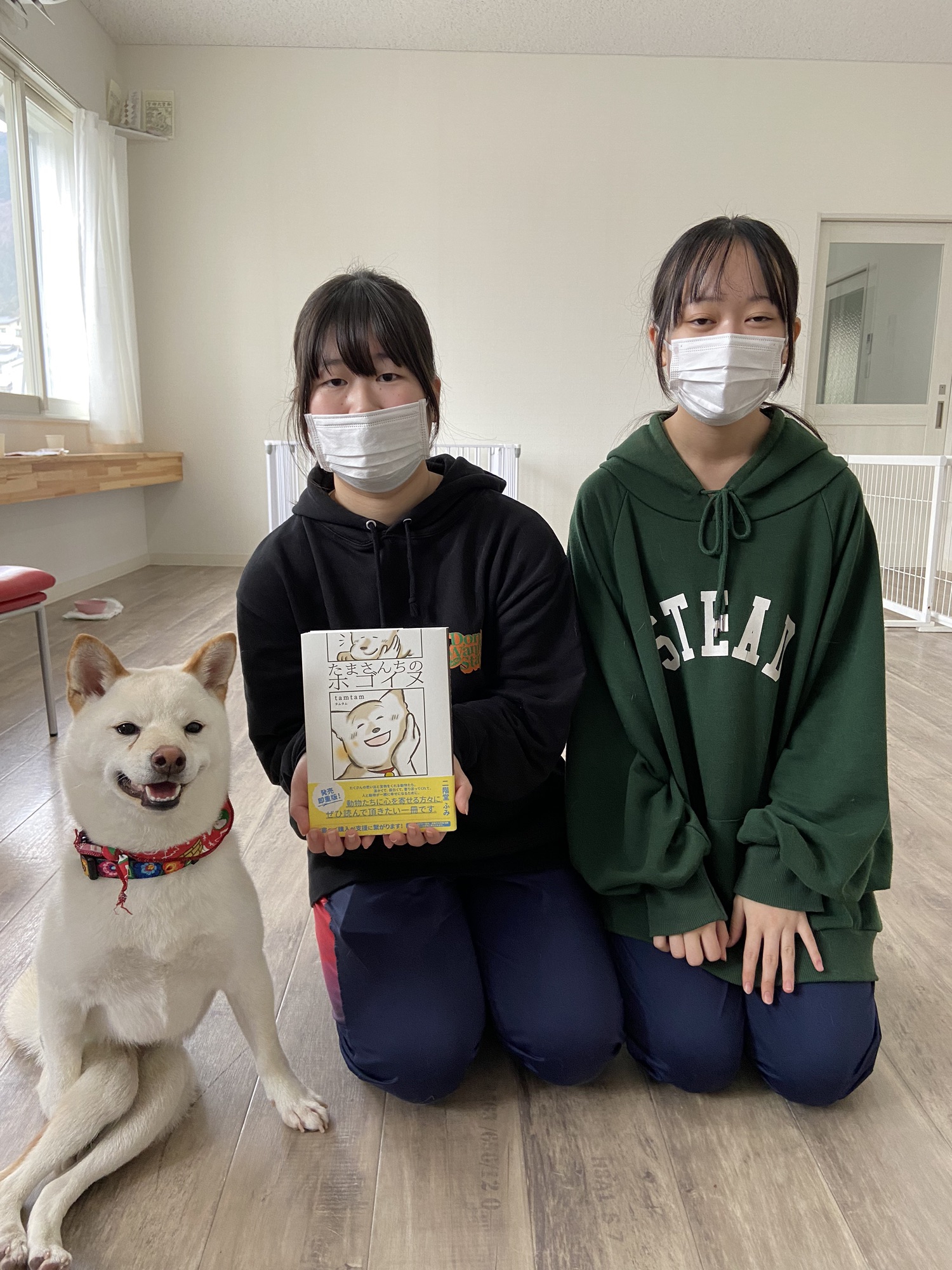 漫画「たまさんちのホゴイヌ」 | 一匹でも犬・ねこを救う会