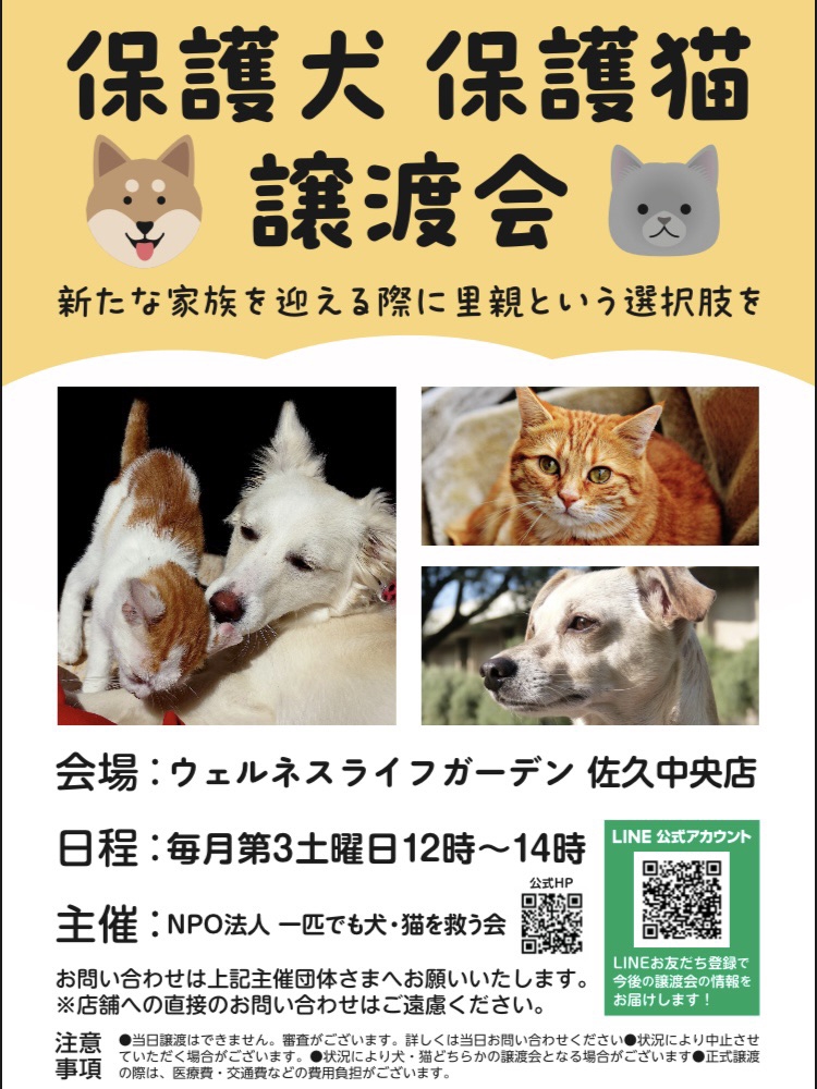 9月16日 佐久市で譲渡会開催します♪♪ | 一匹でも犬・ねこを救う会