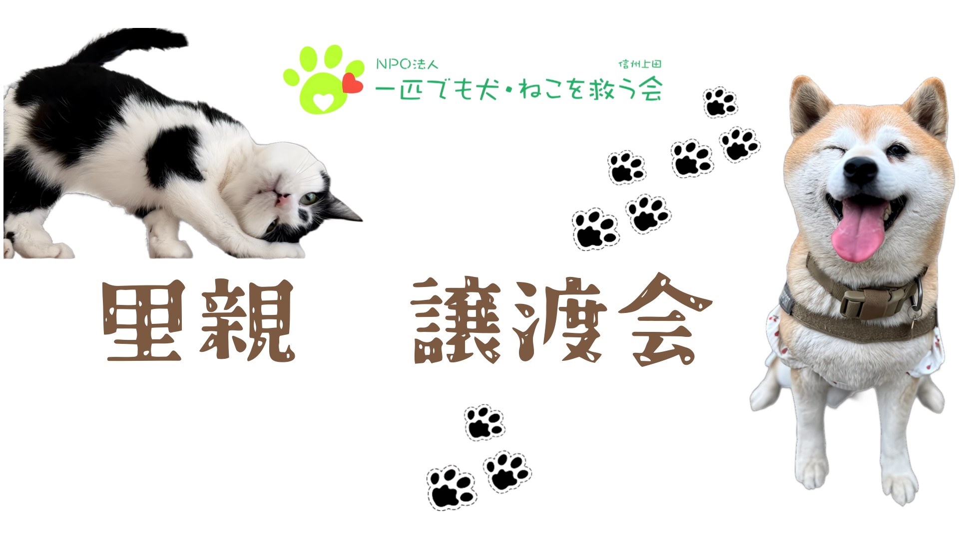 里親・譲渡会 | NPO法人 一匹でも犬・ねこを救う会